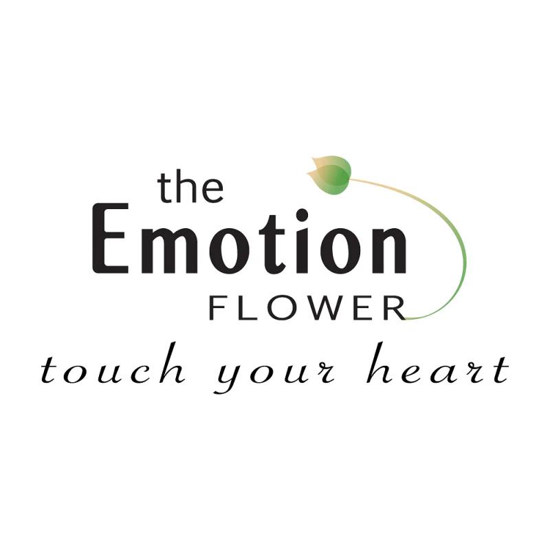 Hình ảnh the-emotion-flower-302151-phan-huy-ich-go-vap-1