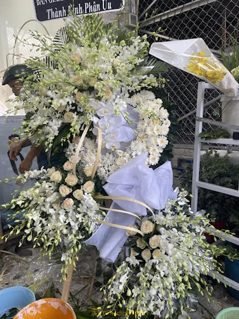 Hình ảnh hoa-tuoi-tan-quy-165a-tl15-cu-chi-3