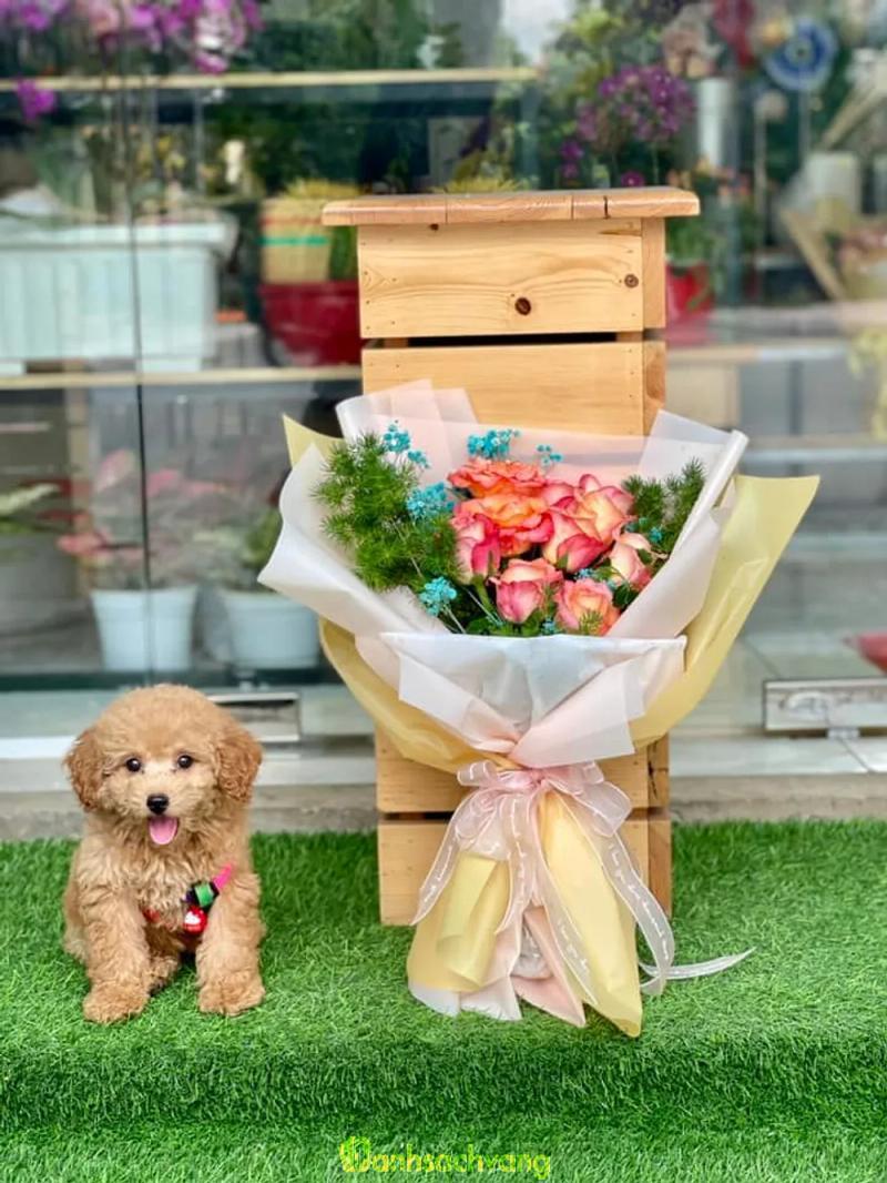 Hình ảnh Mộc Lan Flower: 537 Phan Văn Trị, Gò Vấp