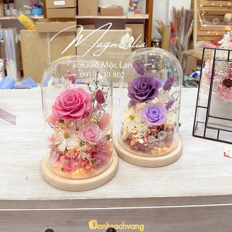 Hình ảnh moc-lan-flower-537-phan-van-tri-go-vap-1