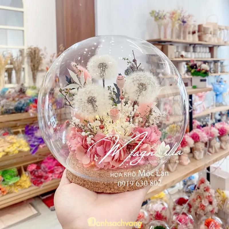 Hình ảnh moc-lan-flower-537-phan-van-tri-go-vap-3