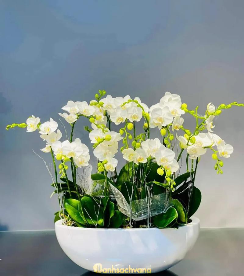 Hình ảnh vboy-flower-106-thanh-thai-quan-10-4