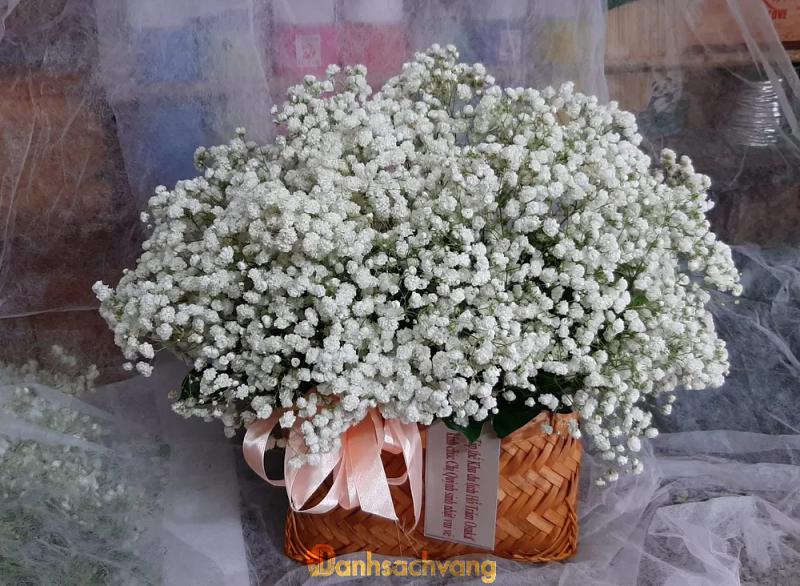 Hình ảnh vboy-flower-106-thanh-thai-quan-10-2