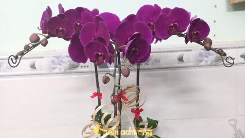 Hình ảnh Hoa tươi Hồ Thị Kỷ: 78 Hồ Thị Kỷ, Quận 10