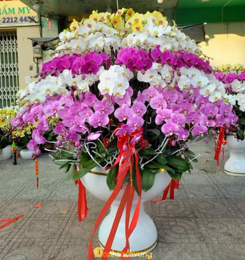Hình ảnh hoa-tuoi-ho-thi-ky-78-ho-thi-ky-quan-10-2