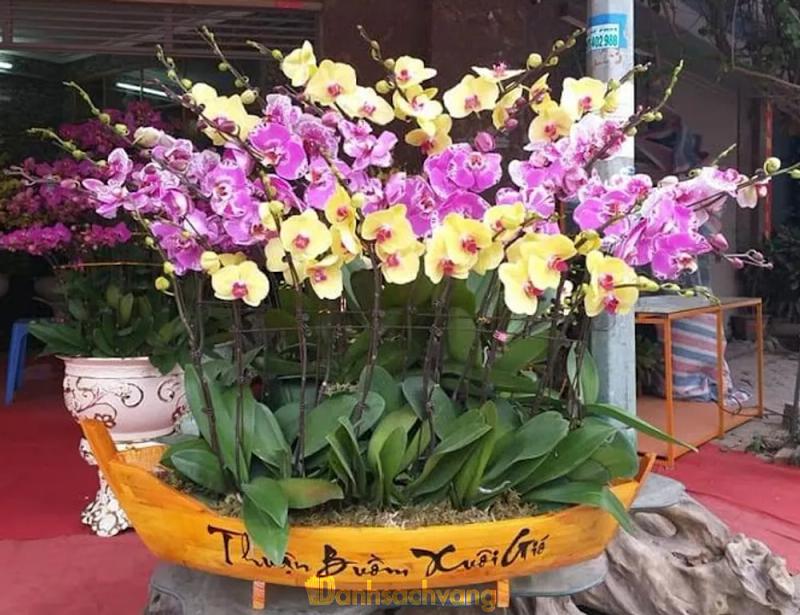 Hình ảnh hoa-tuoi-ho-thi-ky-78-ho-thi-ky-quan-10-1