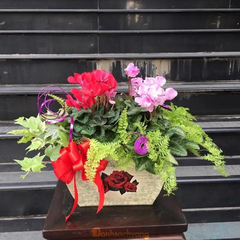 Hình ảnh Minh Lan Flower: 347 Phan Đình Phùng, Phú Nhuận