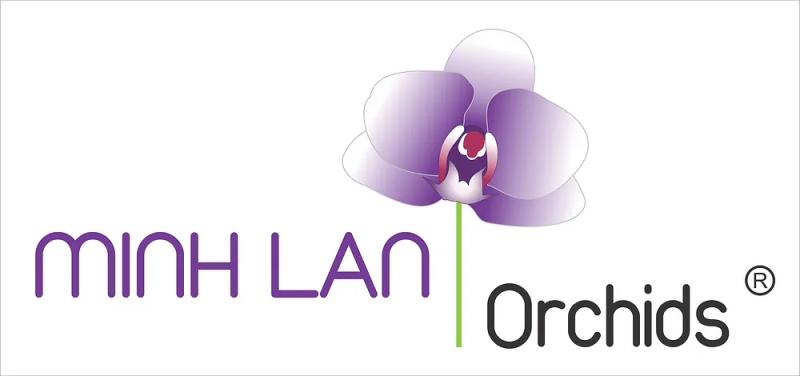 Hình ảnh minh-lan-flower-347-phan-dinh-phung-phu-nhuan