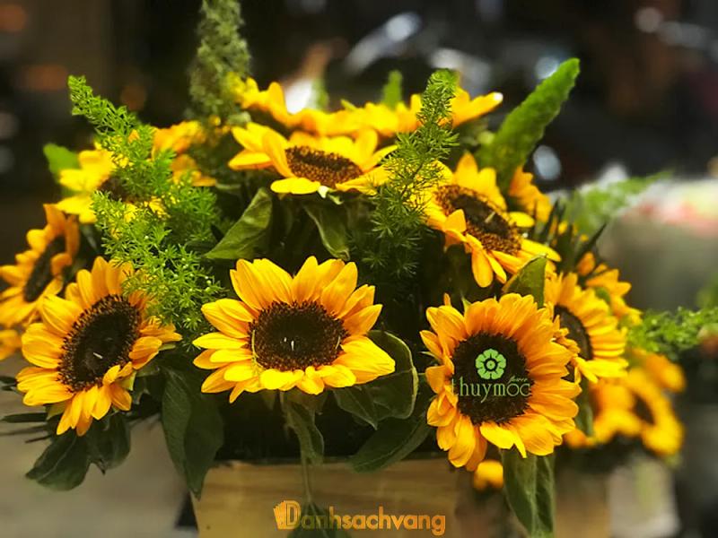 Hình ảnh shop-hoa-thuy-moc-63a-ly-thai-to-quan-10-2