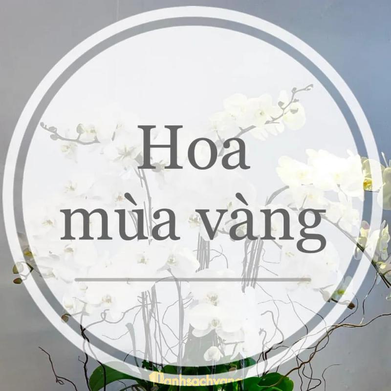 Hình ảnh shop-hoa-mua-vang-427-phan-van-tri-go-vap-1