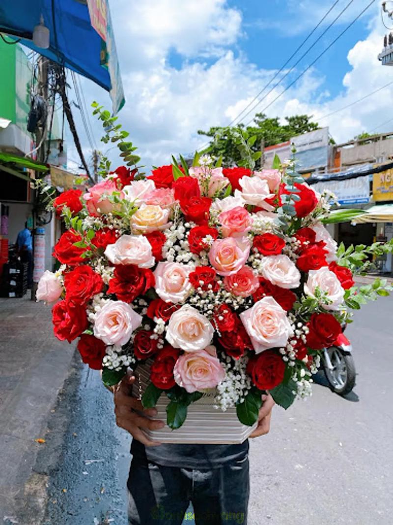 Hình ảnh hoa-tuoi-anh-thu-62l23-nguyen-hong-binh-thanh-1
