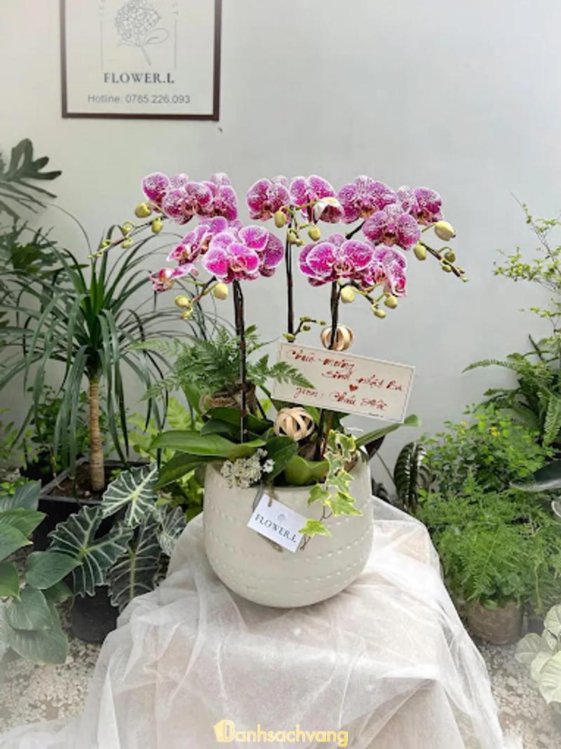 Hình ảnh flowerl-232a-tran-khac-chan-phu-nhuan-1
