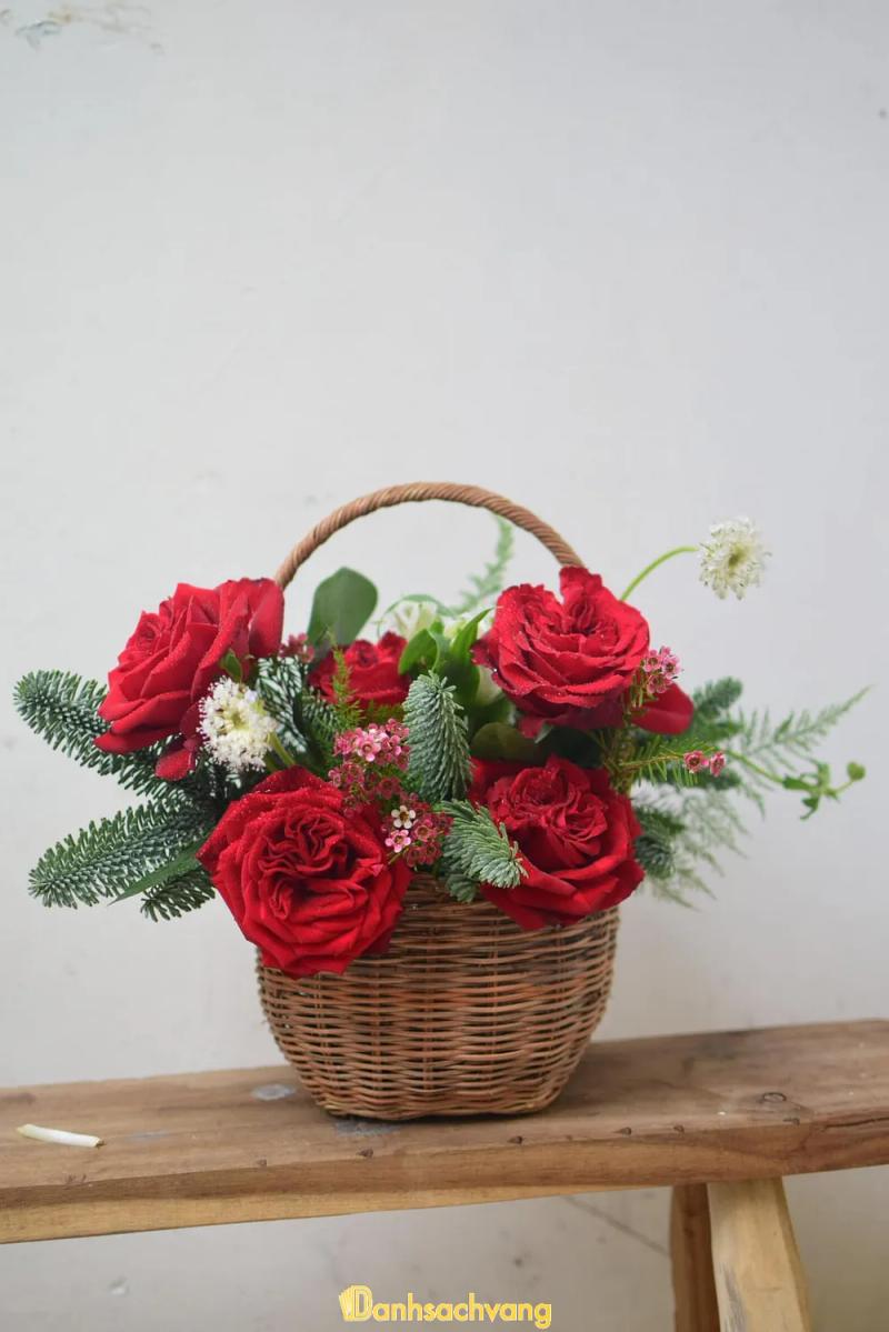 Hình ảnh may-petals-69235-nguyen-gia-tri-binh-thanh-2