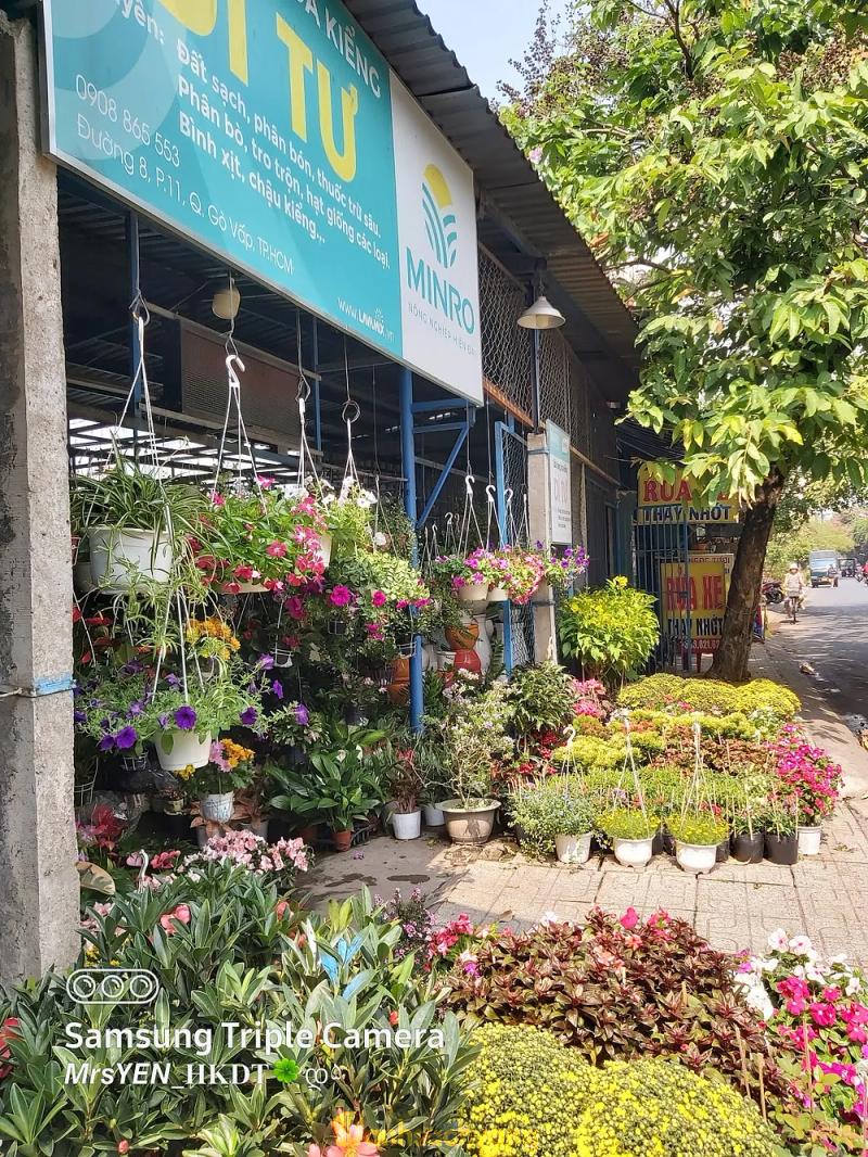 Hình ảnh Hoa kiểng Dì Tư: 127 Đường số 8, Gò Vấp
