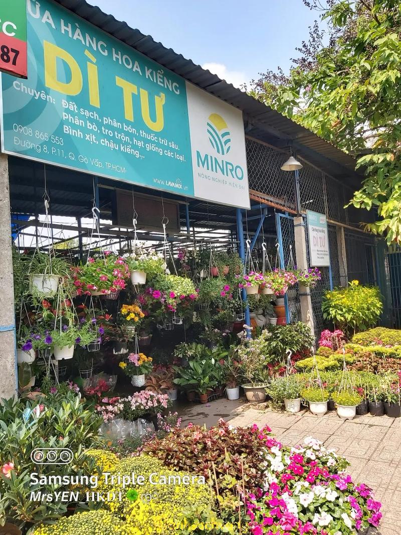 Hình ảnh Hoa kiểng Dì Tư: 127 Đường số 8, Gò Vấp