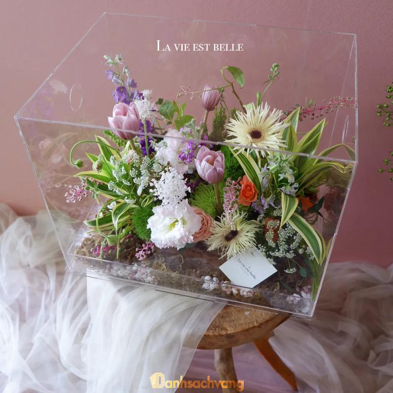 Hình ảnh la-vie-est-belle-911-nguyen-huu-canh-binh-thanh-2