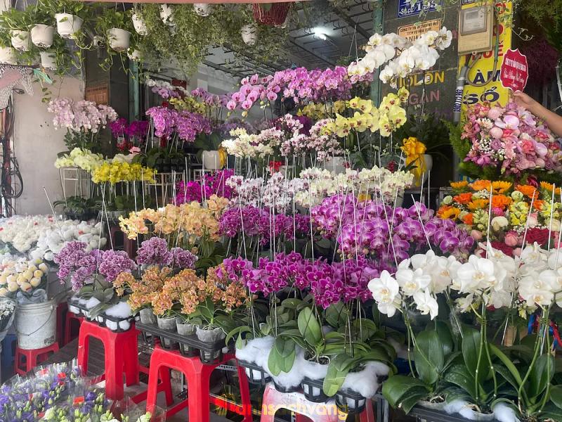 Hình ảnh Shop Hoa Tươi Hạnh Dung: 195 Nguyễn Thái Sơn, Gò Vấp