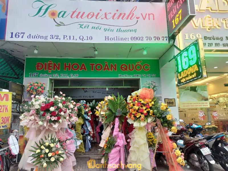 Hình ảnh hoa-tuoi-xinh-167-duong-3-thang-2-quan-10-2