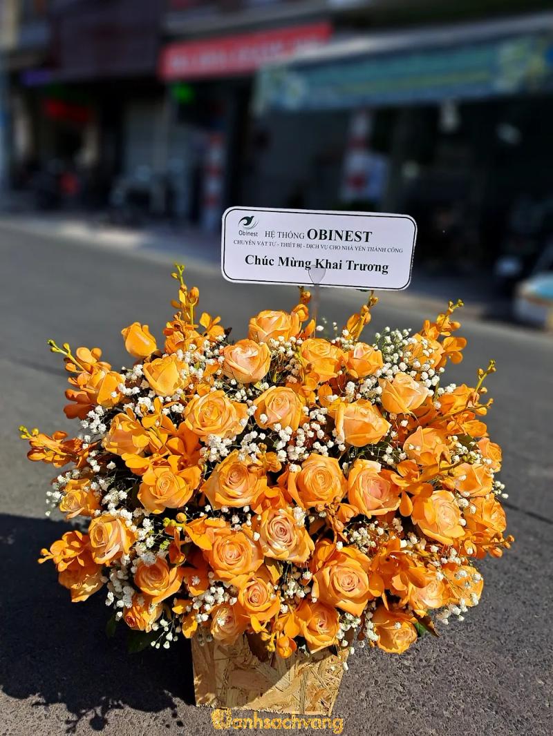 Hình ảnh Shop hoa tươi Jenny: 93 Bàu Cát 4, Tân Bình