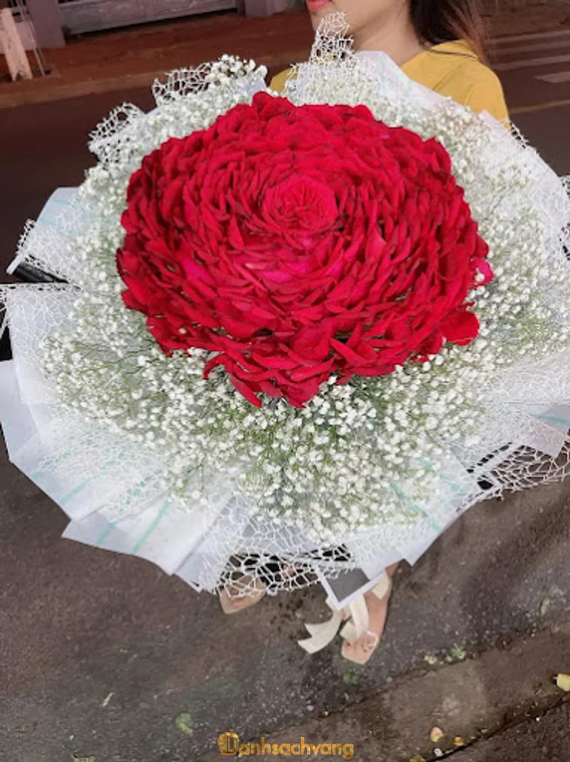 Hình ảnh hoa-tuoi-ngoc-lien-340-au-co-tan-binh-3