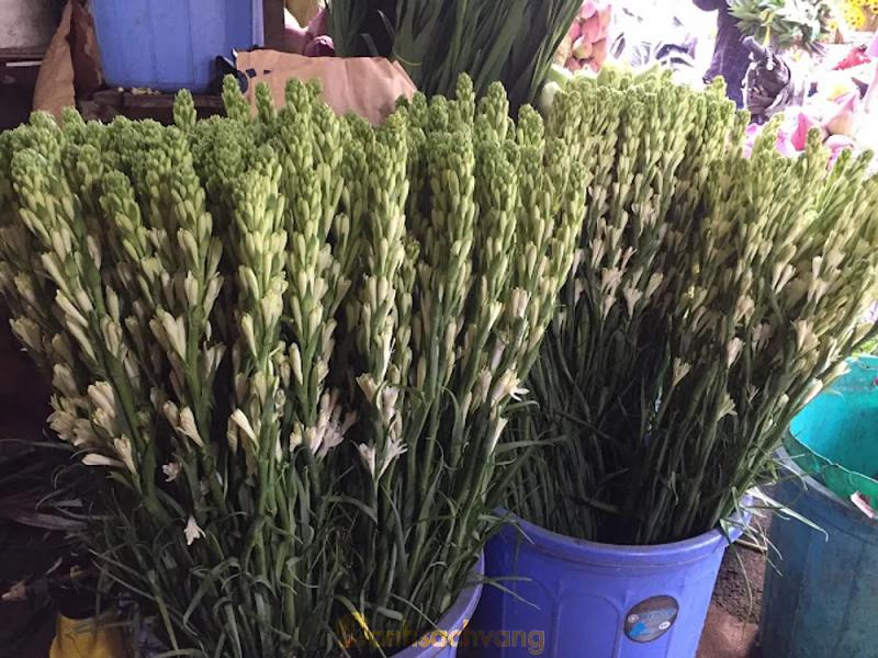 Hình ảnh shop-hoa-tuoi-ngoc-hue-ho-thi-ky-quan-10-2