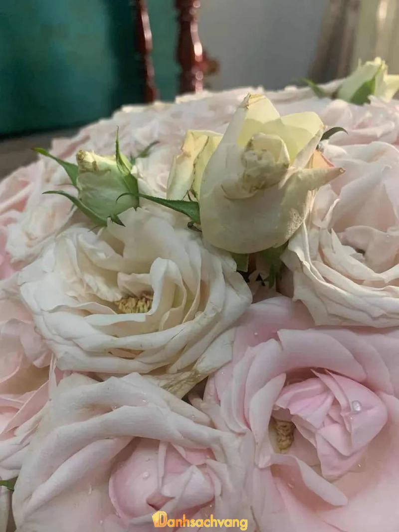 Hình ảnh Ho Chi Minh Florist: 412 Lê Hồng Phong, Quận 10