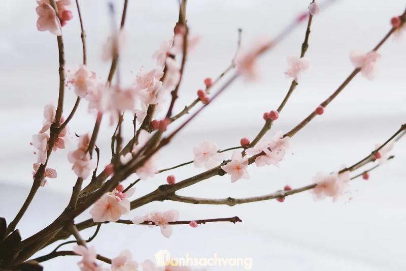 Hình ảnh Amélie Flowers: 111 Trần Minh Quyền, Quận 10
