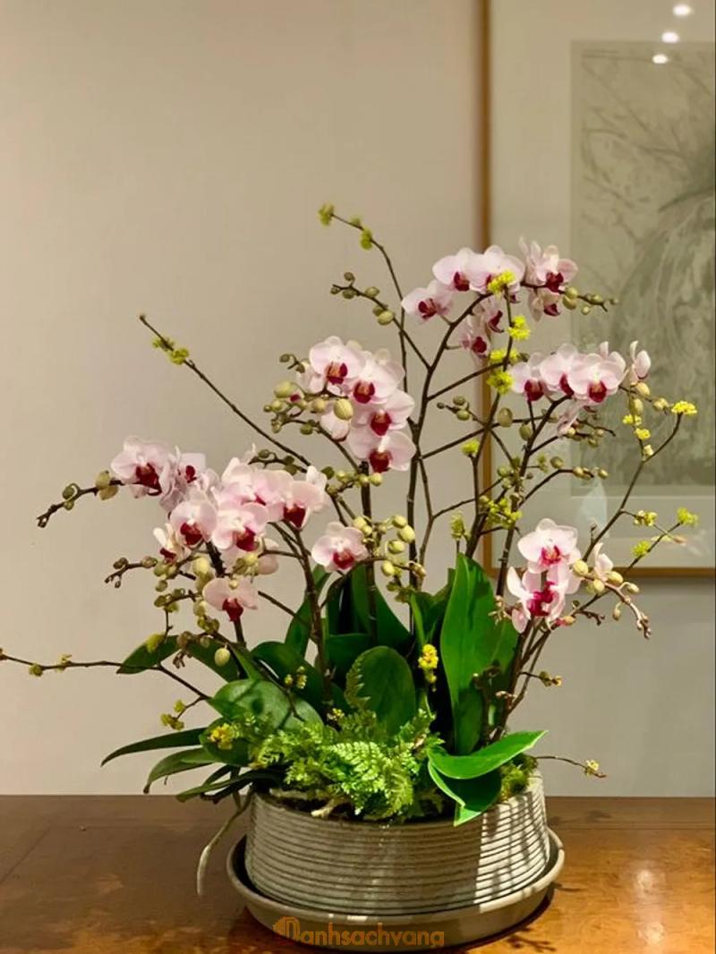 Hình ảnh saigon-orchid-402-le-hong-phong-quan-4