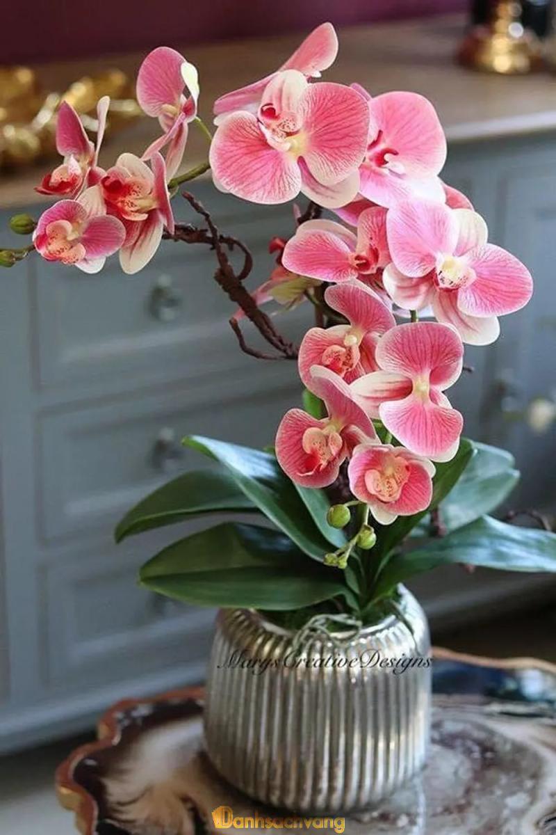 Hình ảnh saigon-orchid-402-le-hong-phong-quan-5