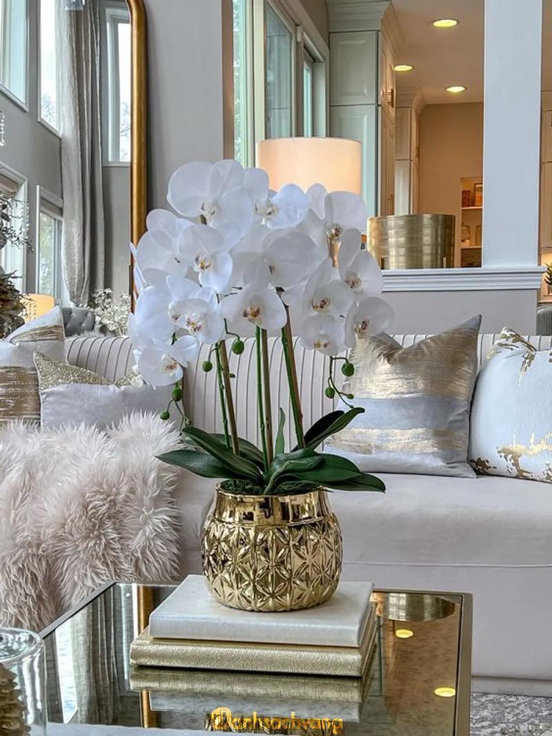 Hình ảnh saigon-orchid-402-le-hong-phong-quan-3
