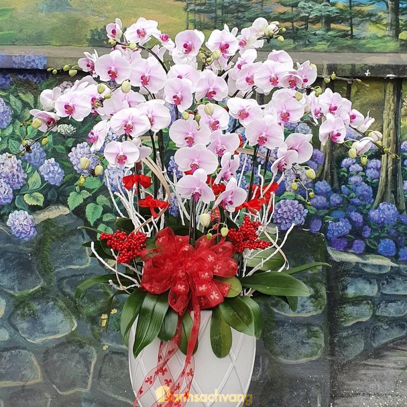 Hình ảnh saigon-orchid-402-le-hong-phong-quan-2