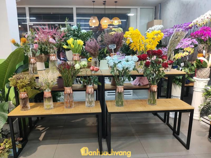 Hình ảnh Dalat Hasfarm: 56 Nơ Trang Long, Bình Thạnh