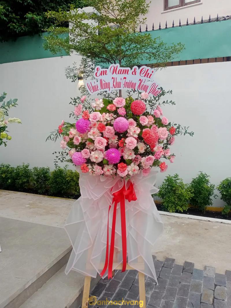 Hình ảnh Aqua Flora: 183/11 QL13, Bình Thạnh