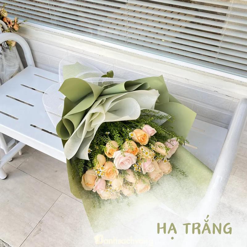 Hình ảnh hoa-qua-tang-potico-chau-thoi-quan-10-2