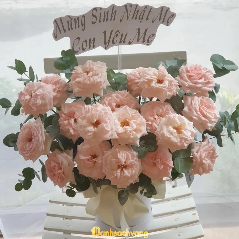 Hình ảnh Anio Flower: 184/19/3 Nguyễn Xí, Bình Thạnh