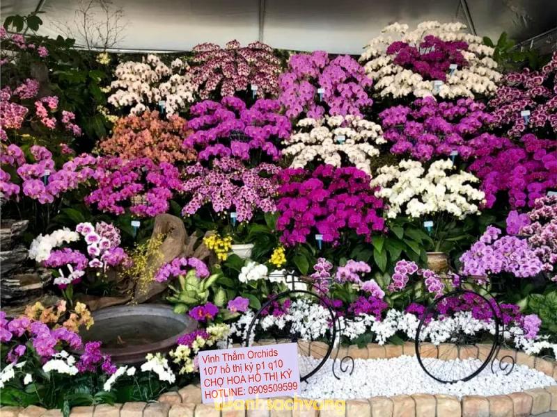Hình ảnh Vinh Thắm Orchids: 107 Hồ Thị Kỷ, Quận 10