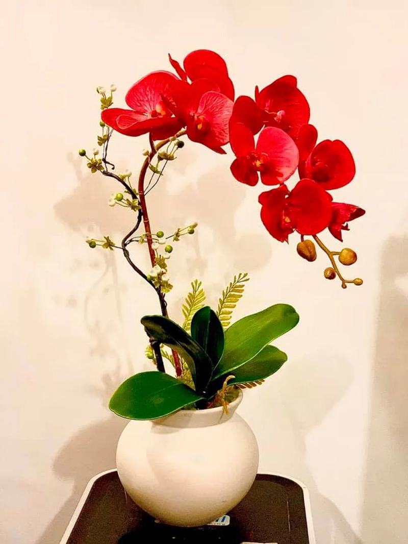 Hình ảnh cua-hang-hoa-vai-nhu-y-57-ho-thi-ky-quan-10-3