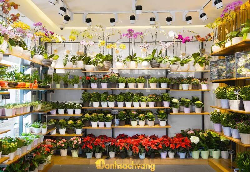 Hình ảnh Dalat Hasfarm: 138 Trương Công Định, Tân Bình