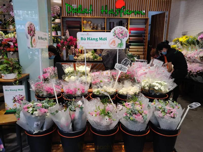 Hình ảnh dalat-hasfarm-138-truong-cong-dinh-tan-binh-2