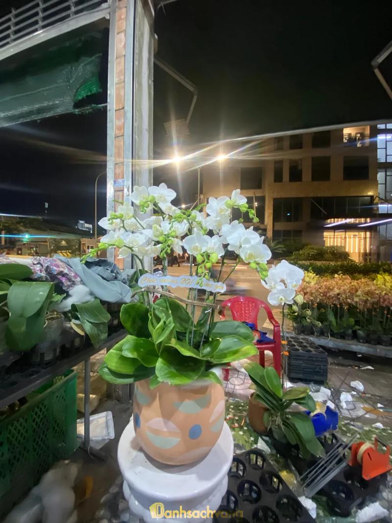 Hình ảnh Hoa lan Bảo An: 1 Phạm Văn Hai, Tân Bình