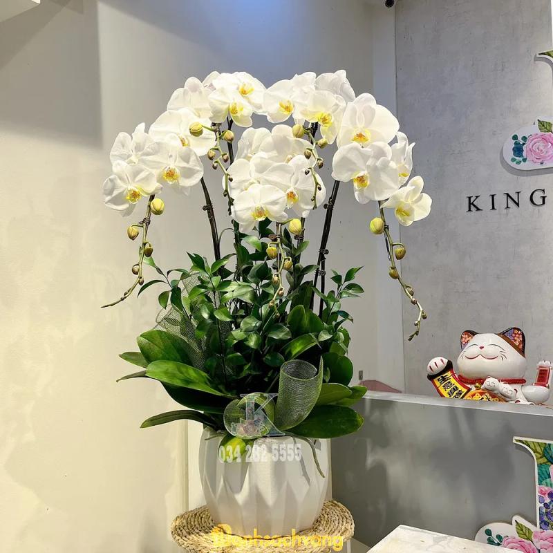 Hình ảnh KingFlowers HCM: 33 Đường C1, Tân Bình