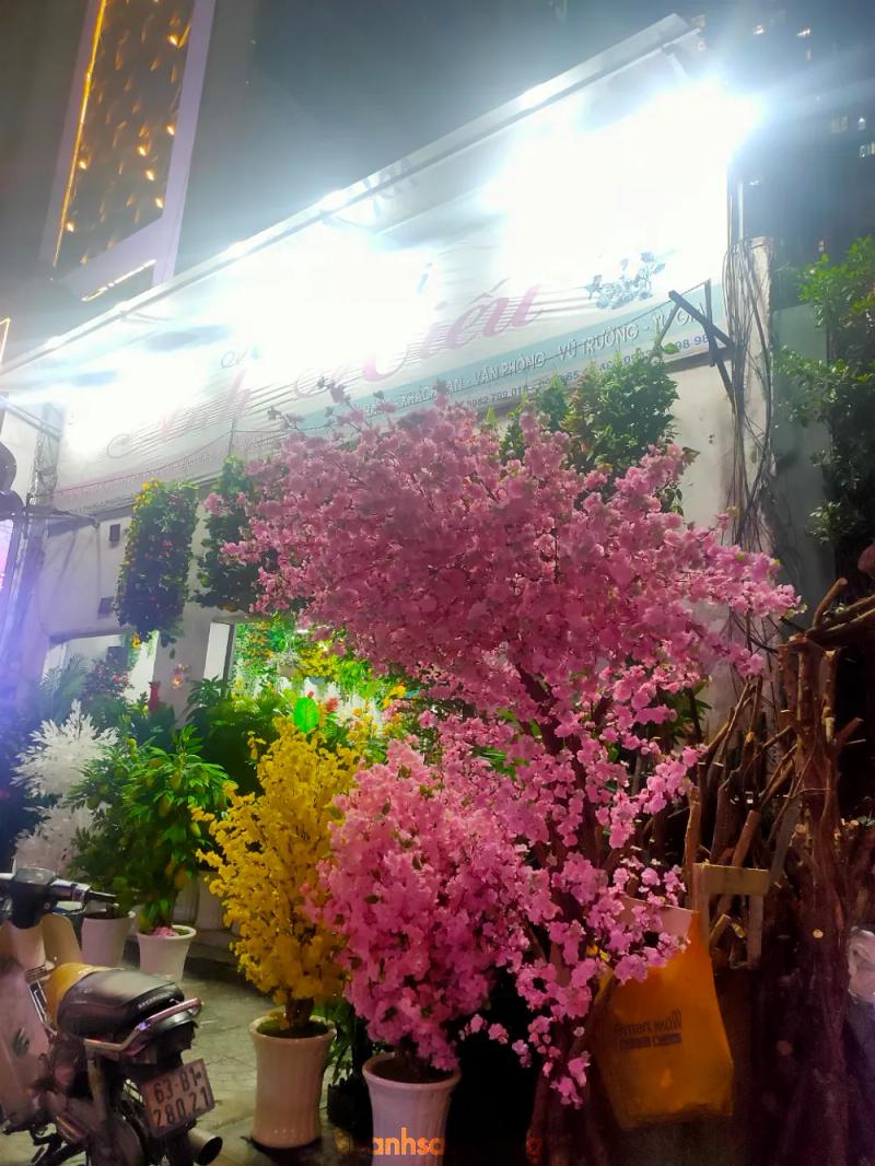 Hình ảnh Hoa Vải Anh Hiếu: 162 Đường 3 Tháng, Quận 10