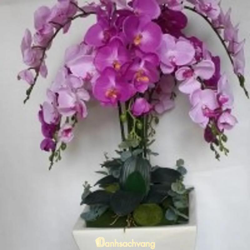 Hình ảnh hoa-vai-anh-hieu-162-duong-3-thang-quan-10-4