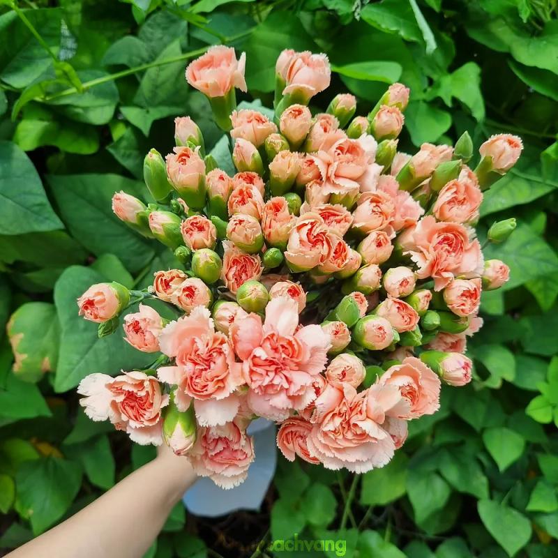 Hình ảnh Cát Flowers: 23 Nguyễn Công Hoan, Phú Nhuận
