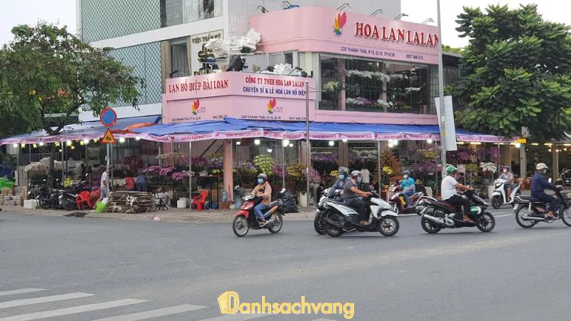 Hình ảnh Hoa Lan Lalan: 220 Thành Thái, Quận 10