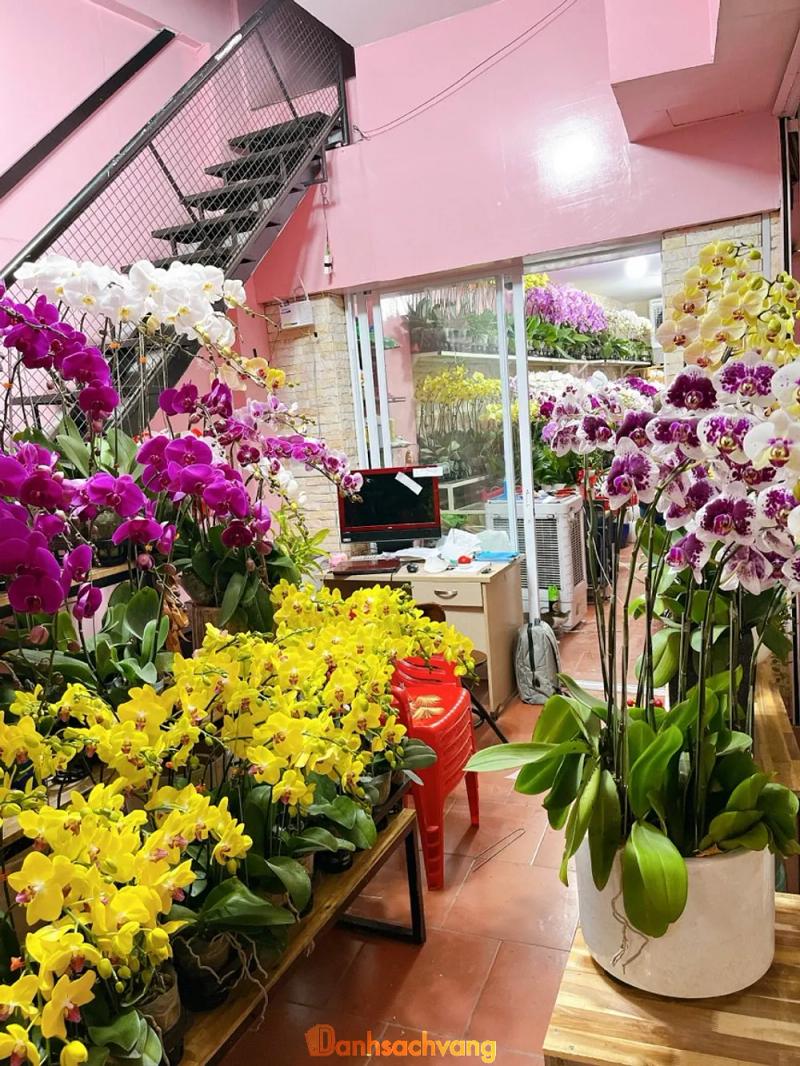Hình ảnh Hoa Lan Lalan: 220 Thành Thái, Quận 10