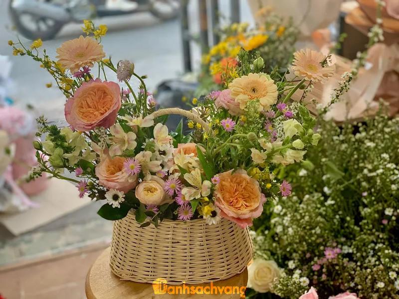 Hình ảnh rosalind-flowers-137-phan-van-han-2