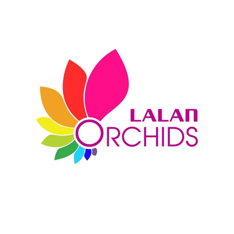 Hình ảnh hoa-lan-lalan-220-thanh-thai-quan-10-1