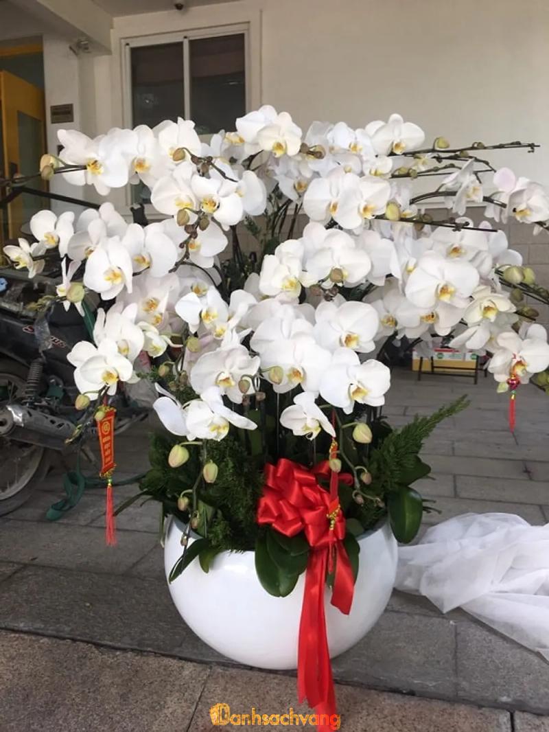 Hình ảnh Shop Hoa Piexie: 345 Nguyễn Thị Búp, Quận 12