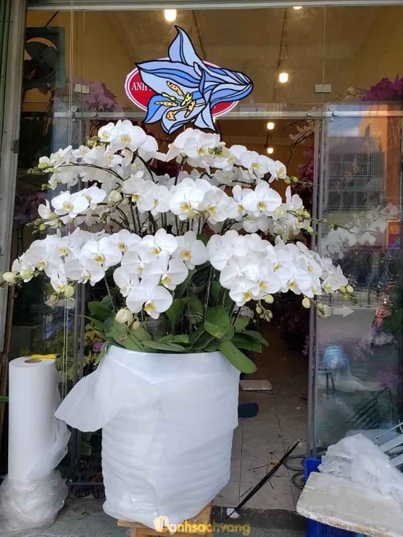 Hình ảnh Shop Hoa Piexie: 345 Nguyễn Thị Búp, Quận 12
